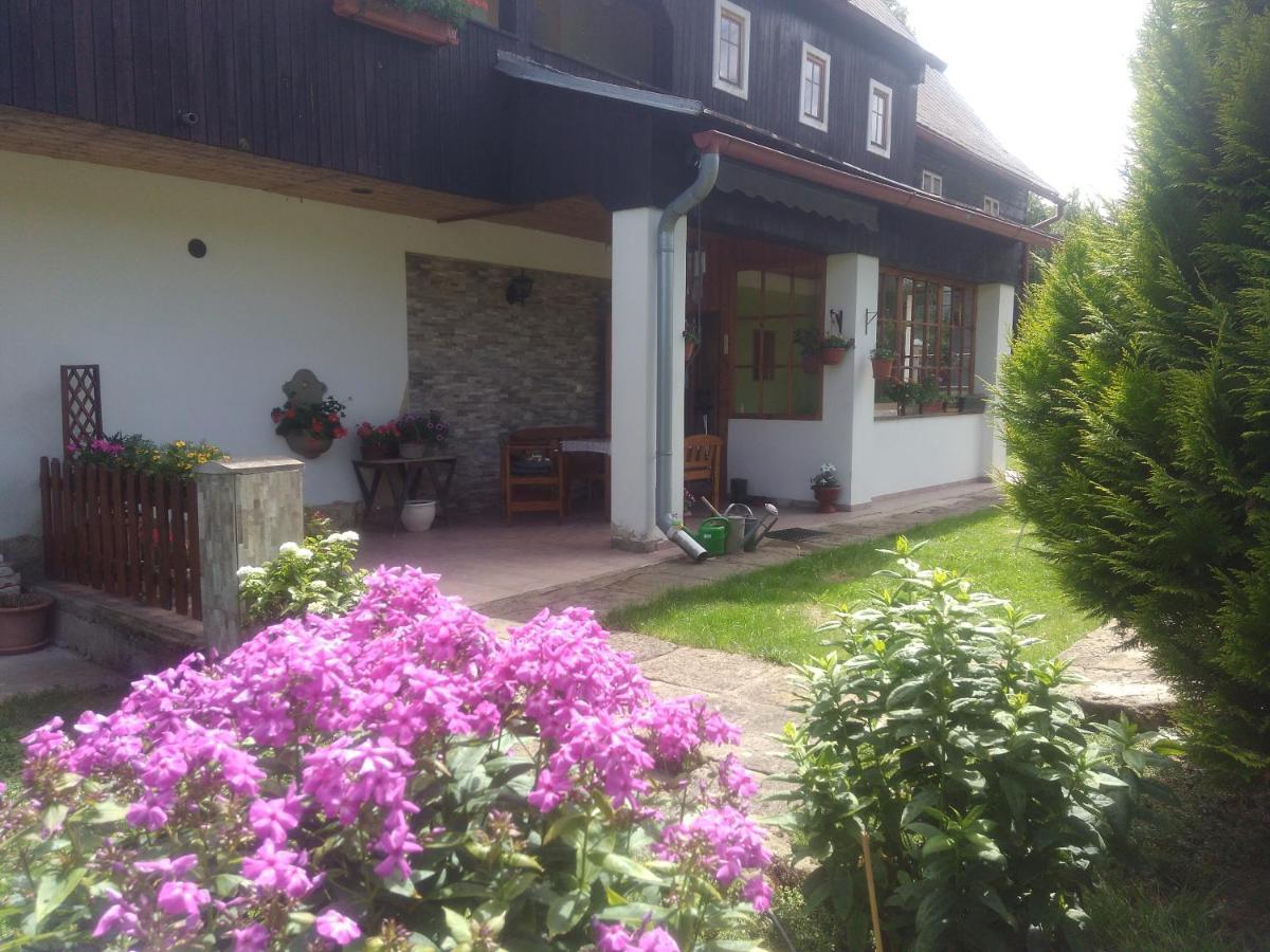 Ubytování U Sviráků Srbská Kamenice Exterior foto